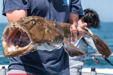 Monkfish – The Sea’s Most Delicious Monster