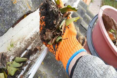 How to Prevent Weeds From Growing on Your Home Gutters