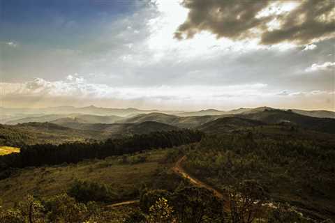 Getting Nature And Out: How Camping and Hiking Can Improve Your Wellbeing And Mood?