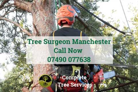 Tree Surgeons in Poolstock Commercial And Residential Tree Trimming And Removal Services