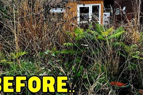 OVERGROWN - YEARS Of Growth CLEANED To Find HIDDEN Wall! - Garden Transformation