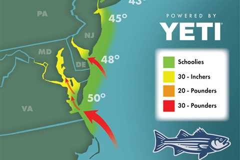 Striper Migration Map – March 24, 2023