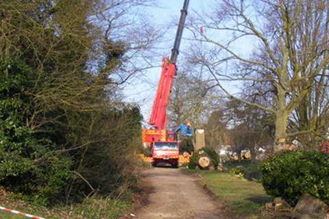 Little Warford Tree Surgeon Tree Dismantling Felling & Removal across Little Warford