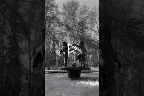 A Fountain At The Old Park - Water Trees And Statue ⛲ #shorts #statue #monochrome