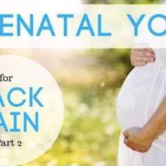 Prenatal Yoga for Back Pain, Part 2 (15 minutes)