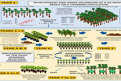 Trees Selection