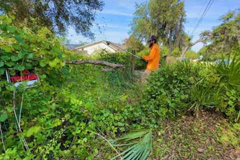 Neighbors REPORTED this house to the city COUNTLESS TIMES and IT STILL HASNT BEEN MOWED!