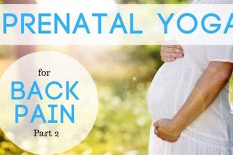 Prenatal Yoga for Back Pain, Part 2 (15 minutes)