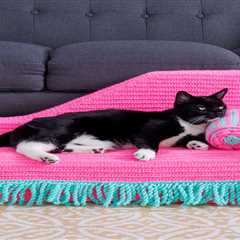 Red Heart’s Latest Take On The Popular Kitty-Cat Couch … a ‘Chaise-Style Lounge’