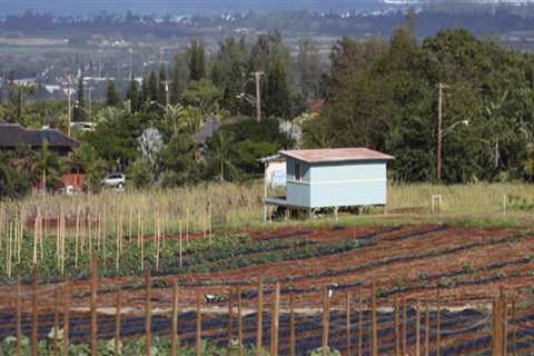 Average Rainfall on Oahu Farmlands