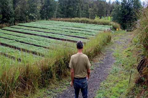 What Challenges Do Farmers Face on Oahu's Farms?