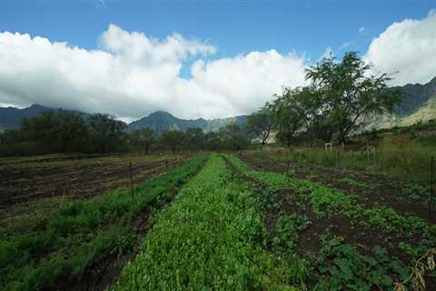 What Types of Agriculture are Grown on Oahu Farmlands?