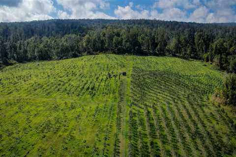 Revolutionizing Agriculture on Oahu: How Technology is Transforming Farms