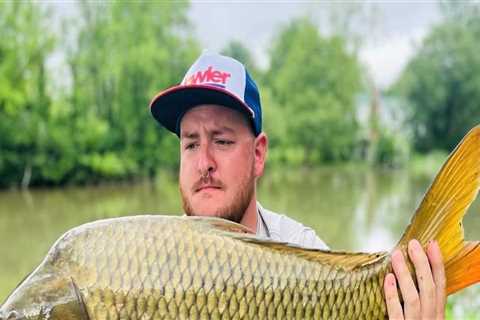 The Best Largemouth Bass Fishing Spots in Northern Virginia: An Expert's Guide