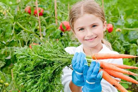 Homesteading 101