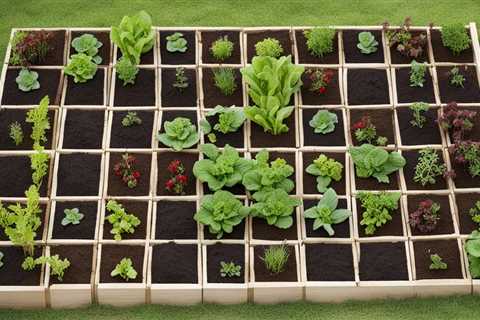 Square Foot Gardening: Maximizing Yield in Minimal Space Guide