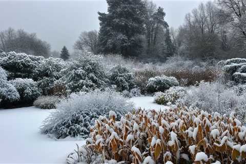 Essential Guide to Winter Care for Organic Perennial Plants