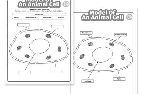 Model of an Animal Cell Coloring Pages