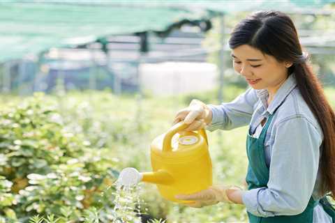 Gardeners' crossword puzzle: Find the perfect watering tool!