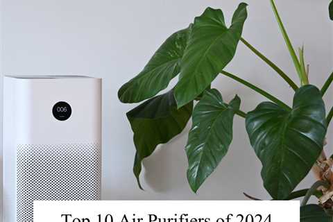 Top 10 Air Purifiers of 2024