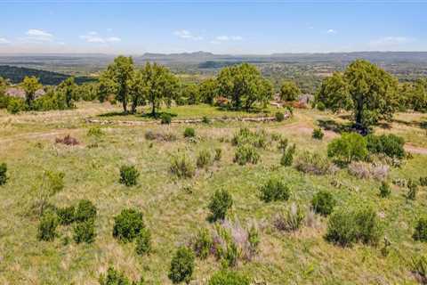 The Impact of Urbanization on Orchards in Dripping Springs, Texas