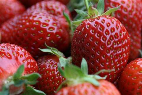 Ultimate Guide to Grow Organic Strawberries: Envy of the Neighborhood