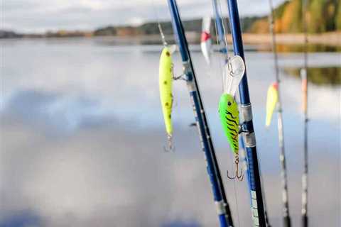 Freshwater Fishing Lures: A Beginner’s Guide for 2024