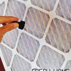Chemical Free Air Freshener You Can Make for Home