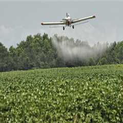 The Regulations on Pesticide Use in Canyon County, ID