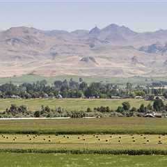 The Impact of Agriculture on the Environment in Canyon County, ID