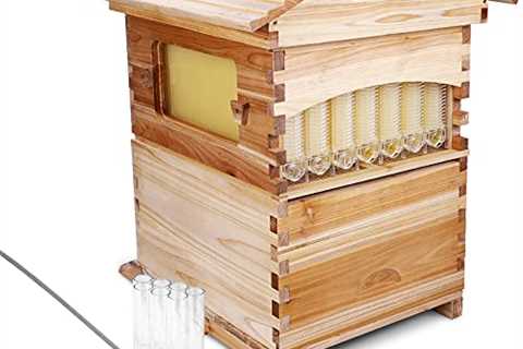 KAKASA Automatic Flowout Wooden Beehive Kit