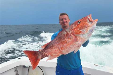 8 Best Red Snapper Fishing Spots in the Gulf of Mexico for 2024