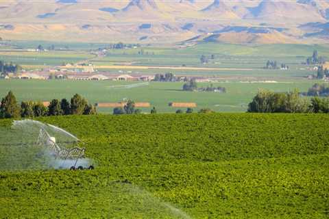 The Impact of Agriculture on the Economy of Canyon County, ID