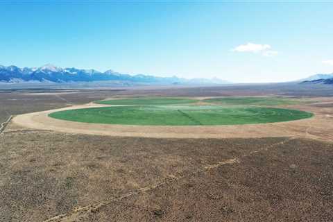 The Vital Role of Irrigation in Agriculture in Canyon County, ID