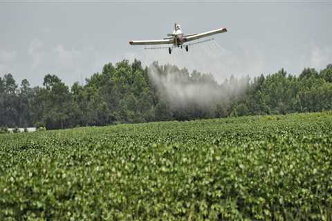 The Regulations on Pesticide Use in Canyon County, ID