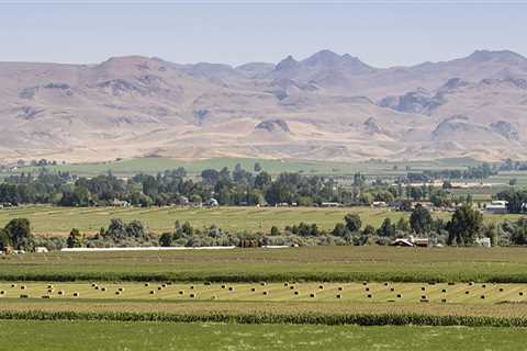 The Impact of Agriculture on the Environment in Canyon County, ID