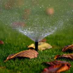 Winterizing Your Orchid Garden: How To Protect Your Plants With Sprinkler Winterization Services In ..