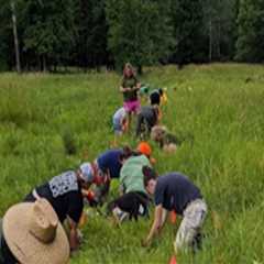 The Vital Role of Government Agencies in Plant Conservation in Anoka County, MN