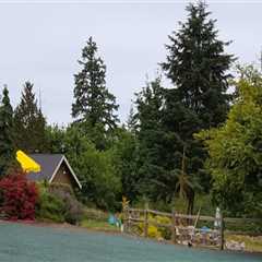Preventing Erosion in Your King County, Washington Garden: Expert Tips