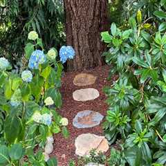 Creating a Sustainable Garden in King County, Washington