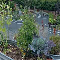 Expert Tips for Successful Container Gardening in King County, Washington