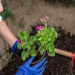 The Ultimate Guide to Fertilizers for Gardening in King County, Washington