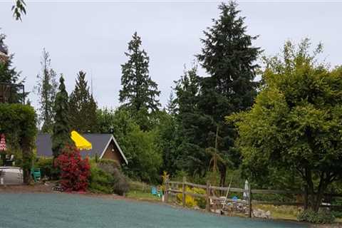 Preventing Erosion in Your King County, Washington Garden: Expert Tips
