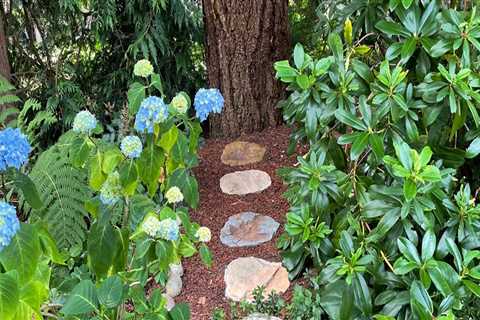 Creating a Sustainable Garden in King County, Washington