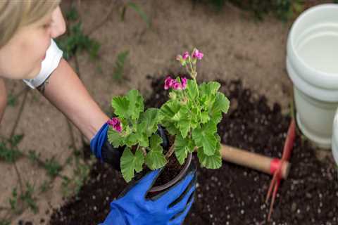 The Ultimate Guide to Fertilizers for Gardening in King County, Washington