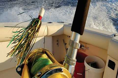 Eco-Friendly and Sustainable Fishing Charters in Leon County, Florida: A Responsible Way to Enjoy..