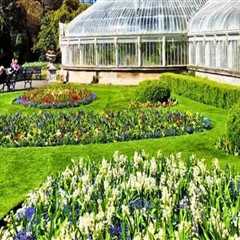 Nature’s Living Museums: Discover the Beauty and Purpose of Botanical Gardens