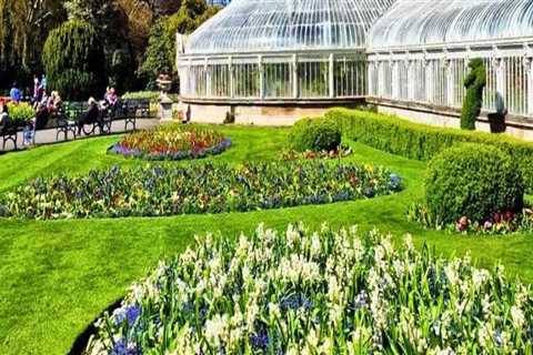 Nature’s Living Museums: Discover the Beauty and Purpose of Botanical Gardens