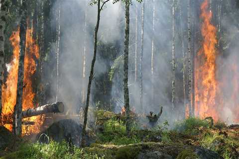 Adapting to Natural Disasters: How Farmers and Foresters in Gulfport, MS Overcome Challenges