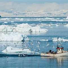 UNOC 2025 : Remember the Polar Oceans !